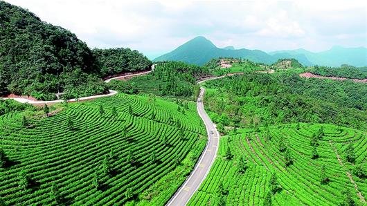 白雲山公路蜿蜒起伏