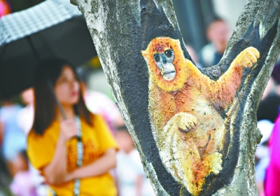 武漢動物園營造趣味氛圍 20余種動物“上樹”賣萌