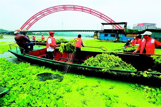 十年櫛風沐雨 守護碧水清波——武漢城管水上清漂隊探訪