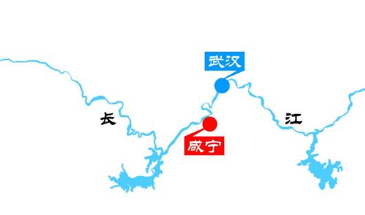 湖北咸寧：兩百里林海護長江安瀾