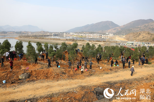 通山縣精準滅荒位列湖北省縣域第一