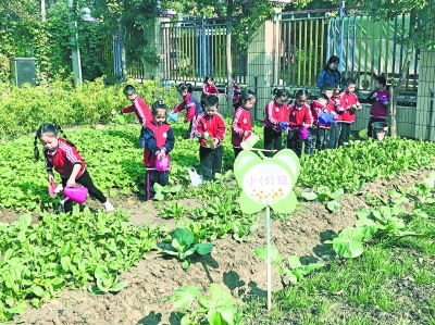 幼兒園裏開設“農耕”必修課 讓孩子在勞作中懂得道理