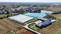 “番”倍收益，綠色種植背後的“致富密碼”