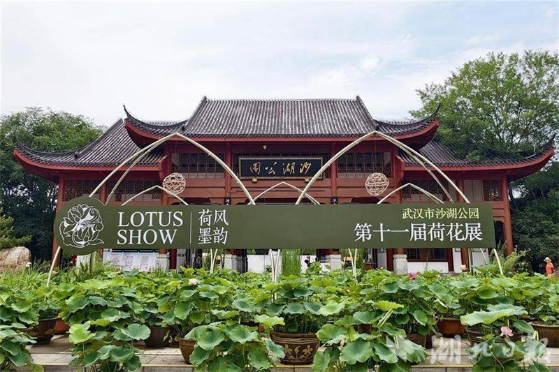 第十一屆沙湖公園荷花展將於6月13日啟幕_fororder_ef51ac54-c0ed-480e-bde2-4b29c7ed79f0-w800_wm