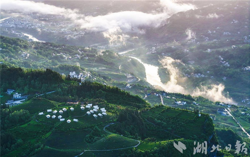 茶山小帳篷撐起文旅消費新場景_fororder_微信圖片_20250513092504