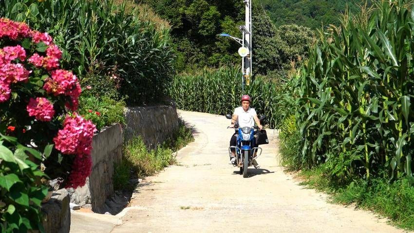宜昌長陽：青春“網”事 00後網格員的山鄉答卷
