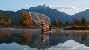 【圖集】湖北羅田：水上紅葉映蒼穹 柿裏牧歌話鄉愁