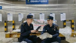 印度冰鮮鯧鯧魚“飛”抵鄂州花湖機場