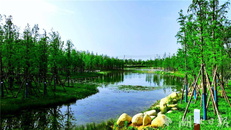 孝感鄧家河公園打造“會呼吸”的景觀軸_fororder_微信圖片_20250427091639