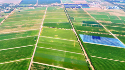 更新變“更”新！五原縣鹽鹼地綜合利用項目完工