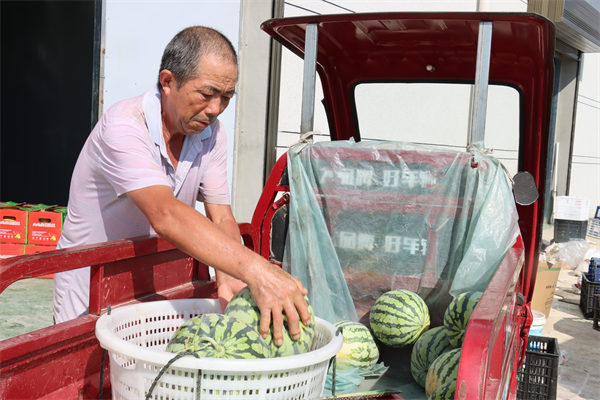 九載履職路一顆“西瓜心” 人大代表田光成種出鄉村“甜蜜果”_fororder_圖片2