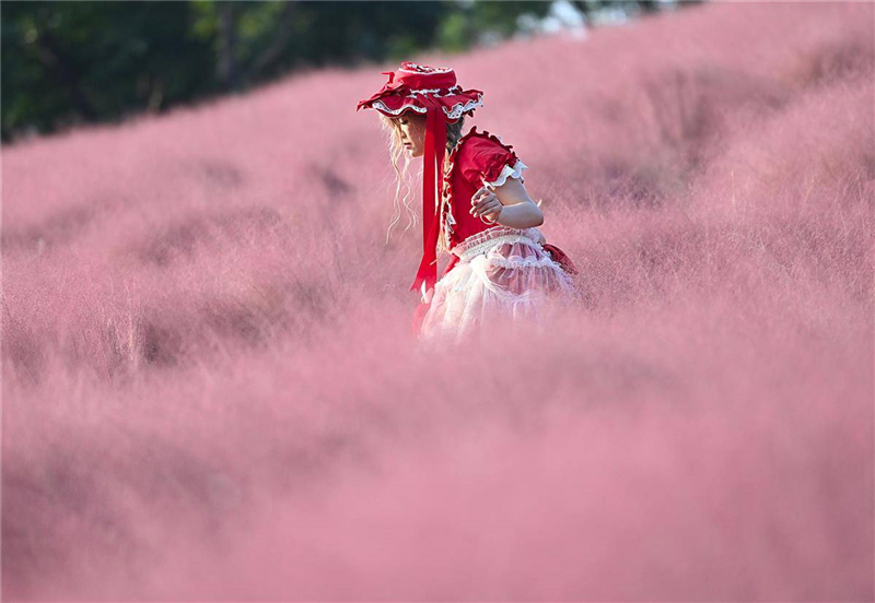 武漢光谷二妃山網紅粉黛上線_fororder_09