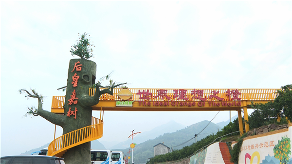 湖北長陽：鍛造高素質幹部隊伍 賦能縣域經濟高品質發展_fororder_04