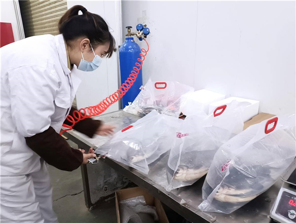 到花湖機場“打飛的” 鮮活武昌魚“暢遊”北上廣深_fororder_150537c6e9ee4f25bafdc29c16b7891f