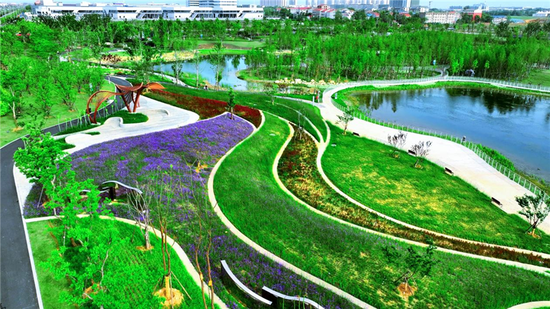 孝感市最大城市公園正式開園_fororder_圖片10