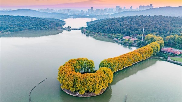 “金鑰匙”打開武漢東湖秋色