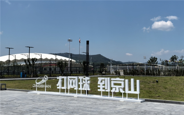 湖北京山：小網球轉動大産業_fororder_LOCAL1751941357210XSNLTXCXZ3