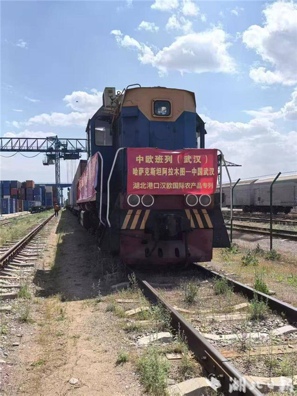 湖北製造走出去 中亞糧油上餐桌_fororder_微信圖片_20250618092921