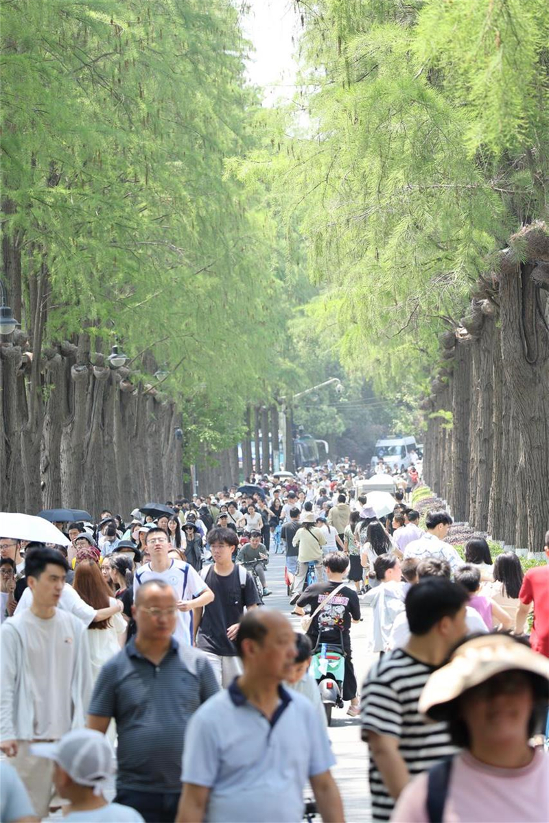 全國最長“翡翠項鍊” 外國人打“飛的”來看_fororder_612344583be941b7ae2461202b0b3531