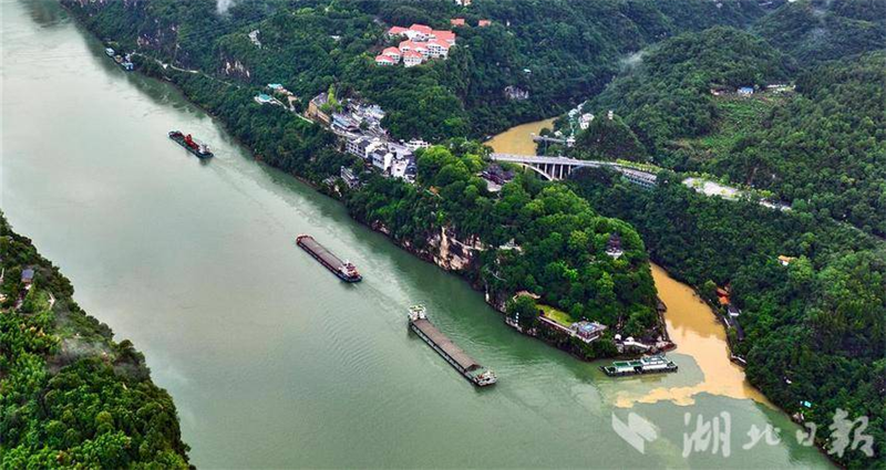 長江西陵峽峽口現 “涇渭分明” 景觀_fororder_微信圖片_20250701094336
