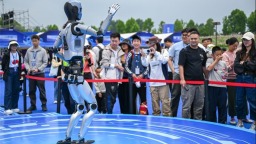 “世界機器人嘉年華”在武漢舉行