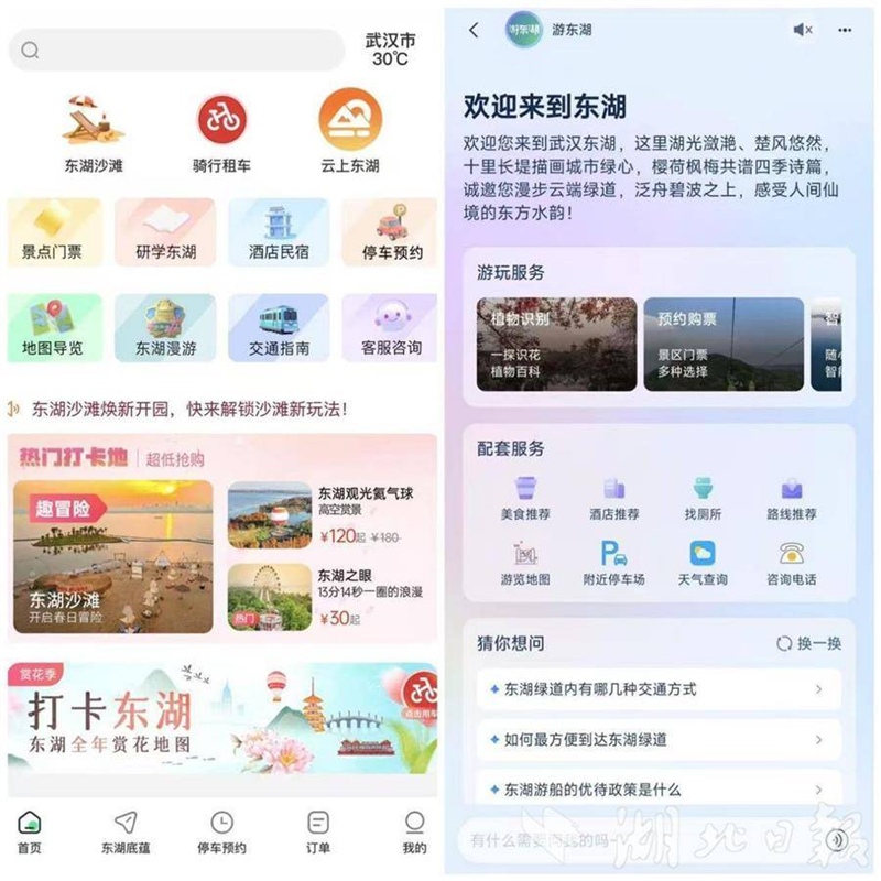 賞櫻逐浪追風觀鳥 武漢東湖發佈四季遊線_fororder_微信圖片_20250520092647