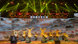 武漢江夏區第二十五屆“百花獎”優秀節目匯演圓滿落幕