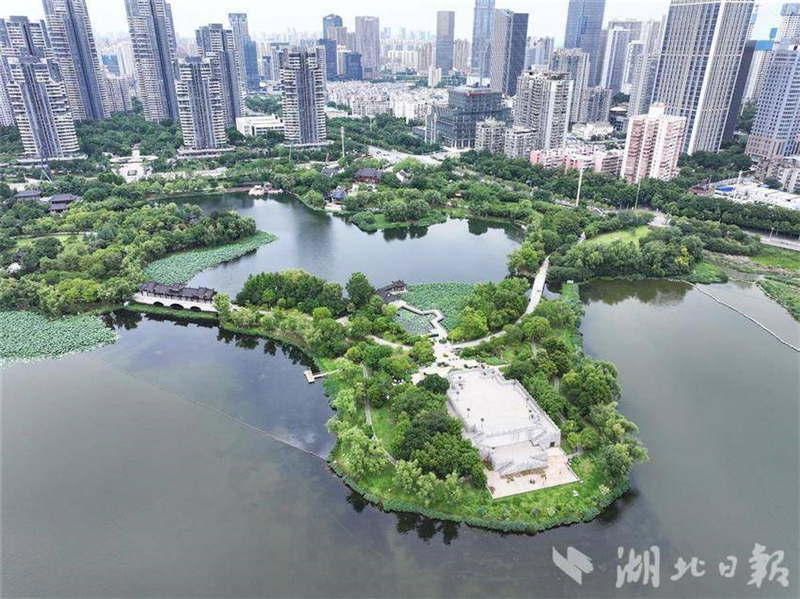 第十一屆沙湖公園荷花展將於6月13日啟幕_fororder_cdeae223-2ad4-40fb-89df-808e21078579-w800_wm