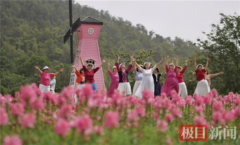 武漢東湖現花毯盛景 4萬平方米金魚草花海引遊客打卡_fororder_db350f43144e42649af354a104044701