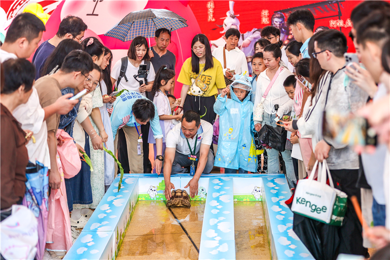 端午邂逅海洋奇遇 武漢極地打造沉浸式國風文旅盛宴_fororder_04