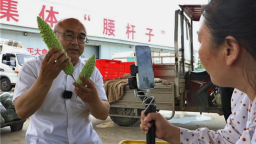 圖片默認標題
