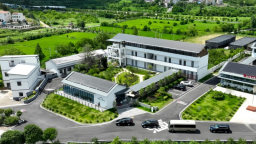 “咖”香四溢，“啡”常給力：大悟順山咖啡激活鄉村發展新動能