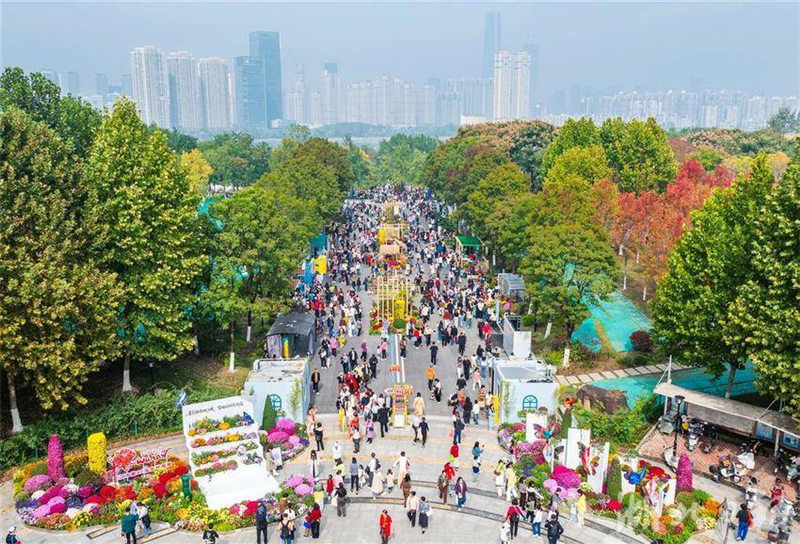 武漢金秋菊展打翻調色盤_fororder_微信圖片_2025-11-03_093154_233