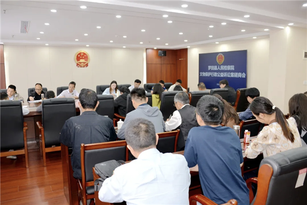 湖北羅田：511處不可移動文物在“檢察藍”守護下重煥生機_fororder_圖片39