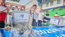 10210尾中華鱘放歸長江 內置“身份證”可追溯魚苗信息