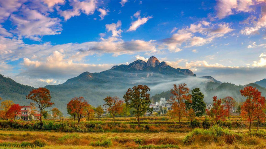 看紅葉、品甜柿、賞稻浪，黃岡三景入選湖北十大賞秋地