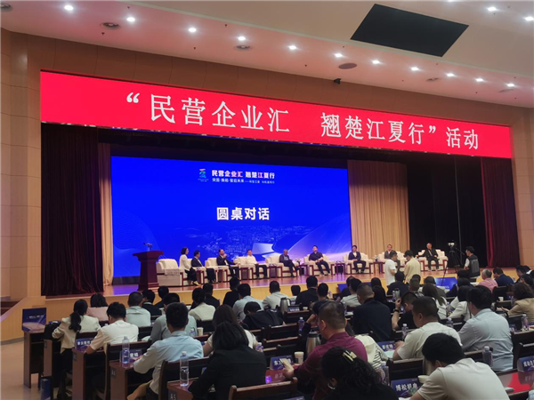 300多位民營企業家齊聚武漢江夏 共話高品質發展新路徑_fororder_圖片5