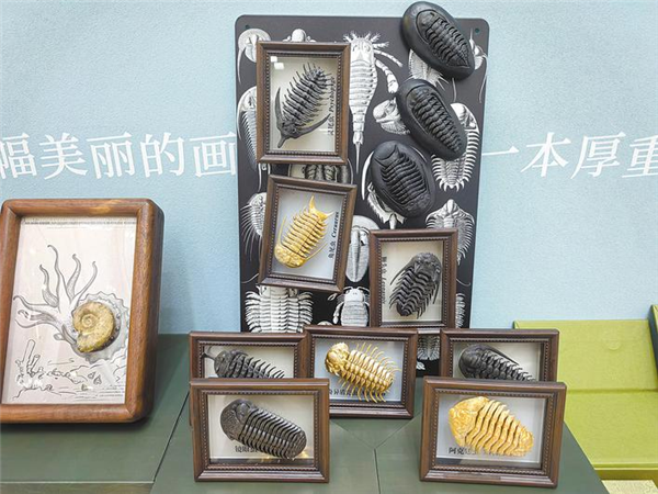 湖北省新發現萬餘處文旅“寶藏”_fororder_微信圖片_20250626093000
