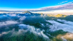 雲海奔騰入畫來