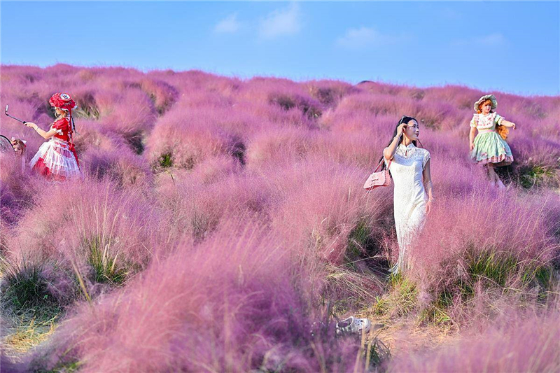 武漢光谷二妃山網紅粉黛上線_fororder_02