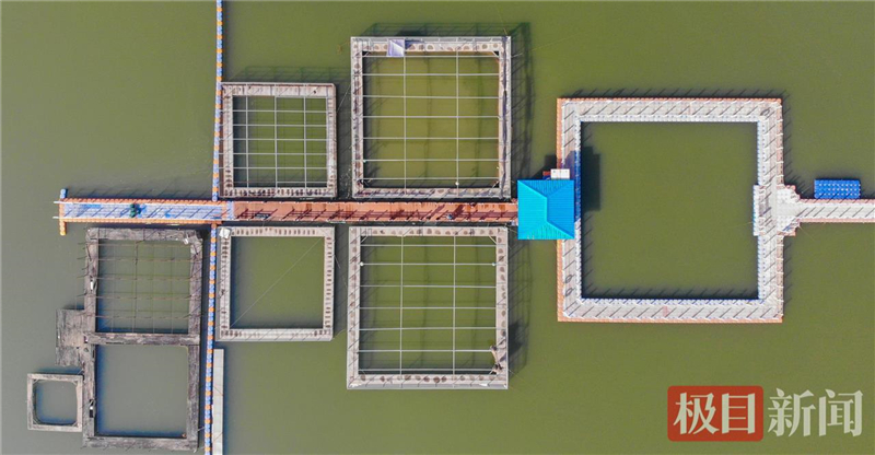 荊江之畔成為“濕地精靈”樂園_fororder_微信圖片_2025-10-30_093619_285