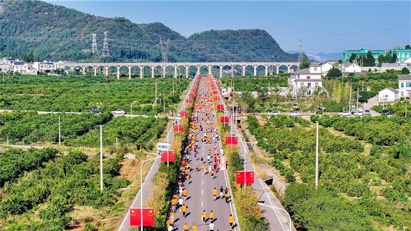 宜都青林謎鎮環線入選全國“十大最美農村公路”_fororder_01