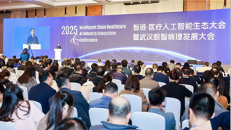 湖北集中發佈多項數字醫療領域新成果