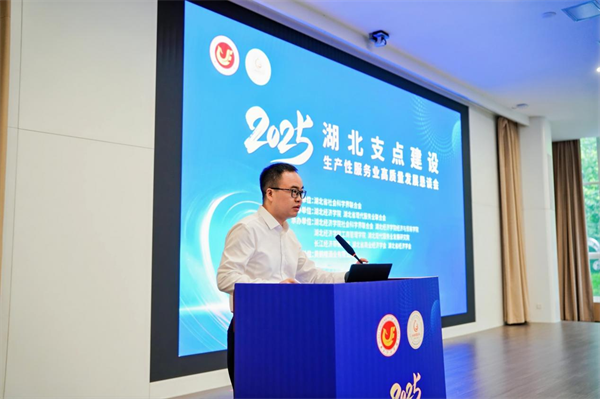 湖北支點建設暨生産性服務業高品質發展懇談會在湖北經濟學院舉行_fororder_1