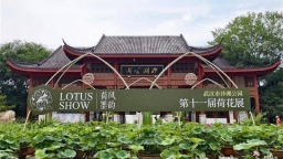 第十一屆沙湖公園荷花展將於6月13日啟幕