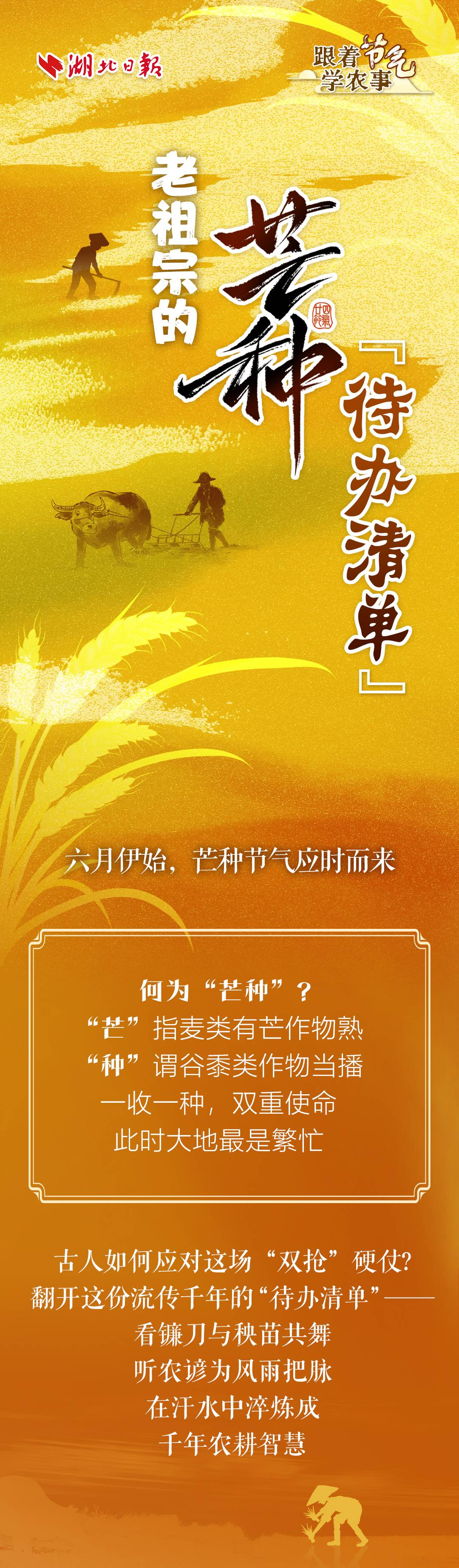 跟著節氣學農事_fororder_微信圖片_20250605093402