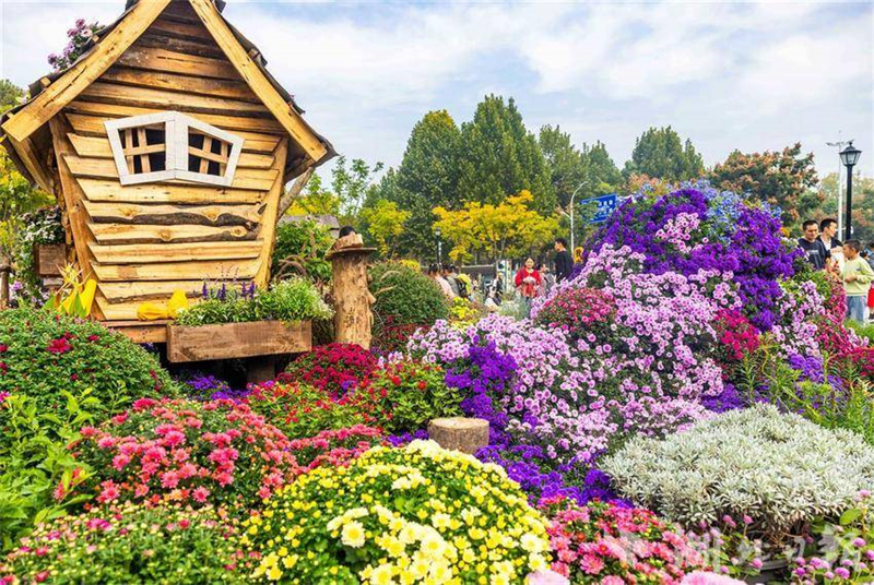 武漢金秋菊展打翻調色盤_fororder_微信圖片_2025-11-03_093128_194