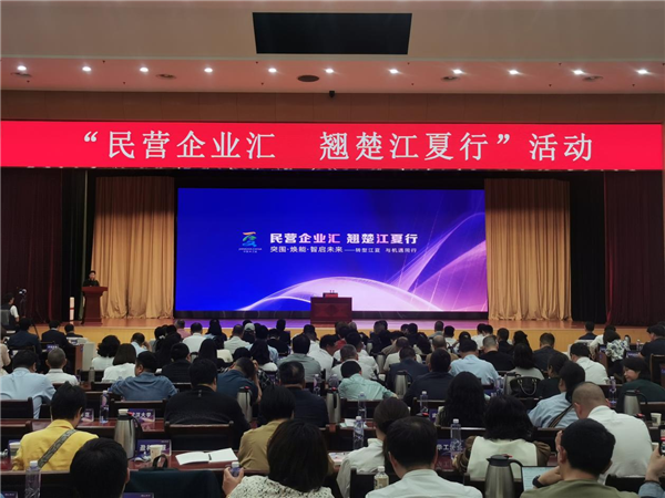 300多位民營企業家齊聚武漢江夏 共話高品質發展新路徑_fororder_圖片3