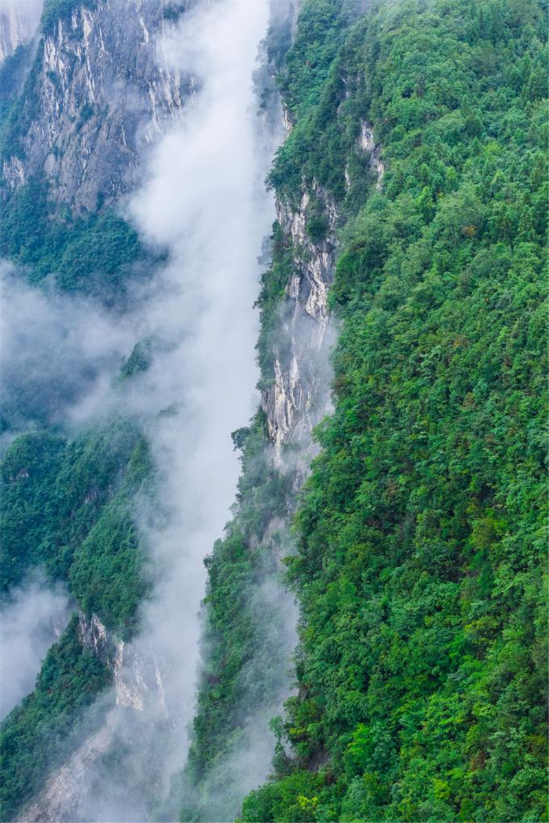 湖北恩施：雨後峽谷似仙境_fororder_20250813a246eda101e24d6d8919205e71c0b10e_8cfb9850ee78468d8fabbc7742431c2f