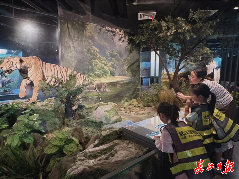 從“水秀”爆滿到夜賞長江，武漢憑“夜遊IP矩陣”躋身暑期全國熱門目的地_fororder_f590294c0a81d9890acef9404a896f90